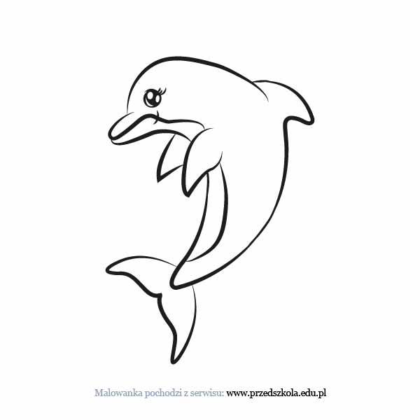 Delfin kolorowanki